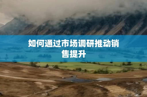 如何通过市场调研推动销售提升