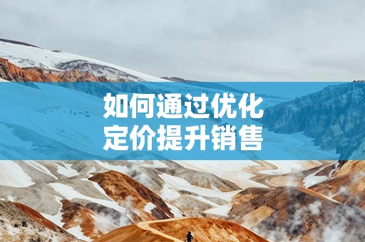 如何通过优化定价提升销售