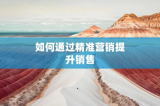 如何通过精准营销提升销售