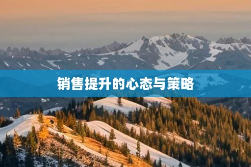 销售提升的心态与策略