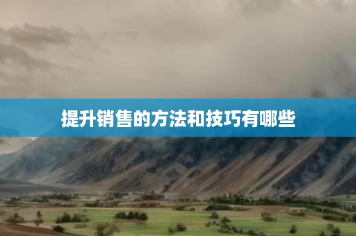 提升销售的方法和技巧有哪些