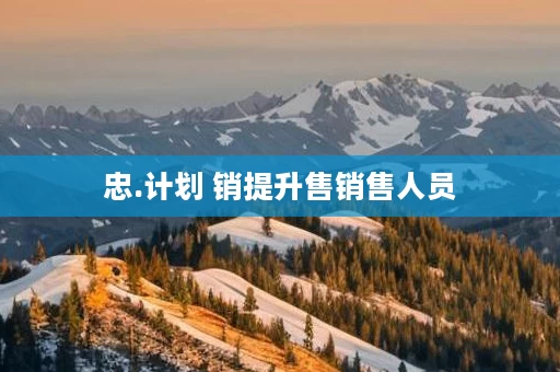 忠.计划 销提升售销售人员