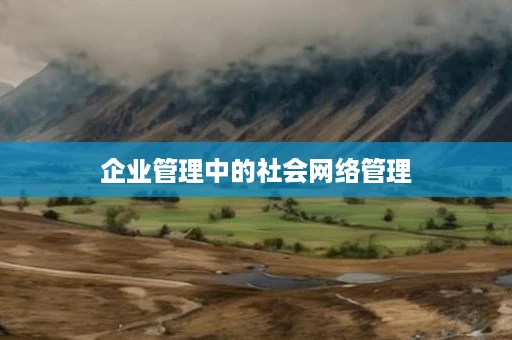 企业管理中的社会网络管理