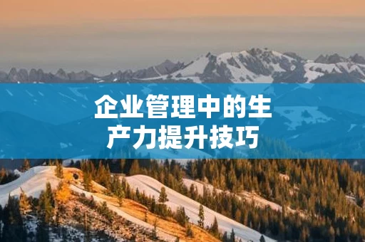 企业管理中的生产力提升技巧