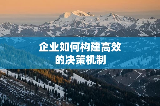 企业如何构建高效的决策机制