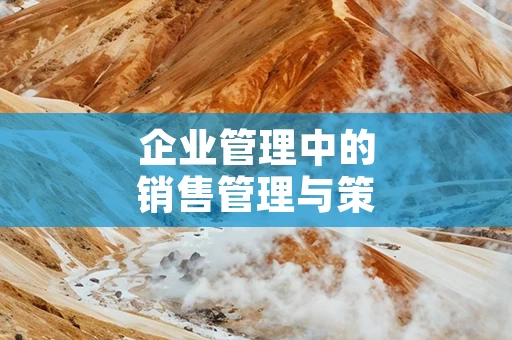 企业管理中的销售管理与策略