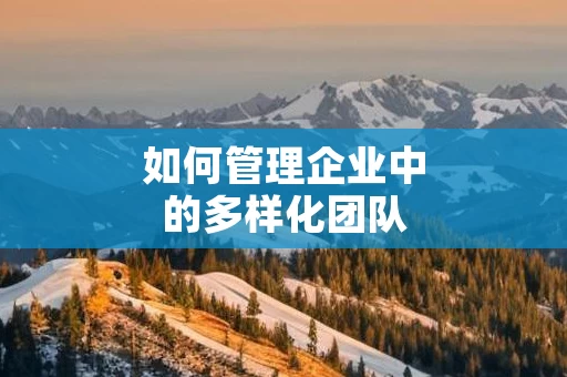如何管理企业中的多样化团队