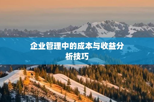 企业管理中的成本与收益分析技巧