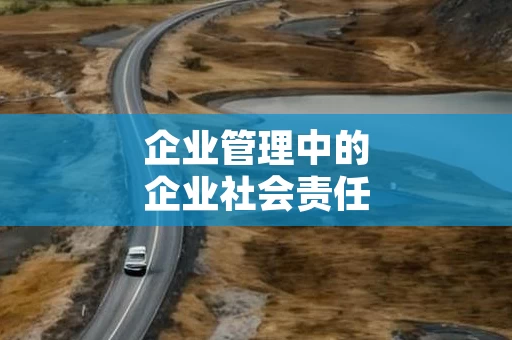 企业管理中的企业社会责任战略
