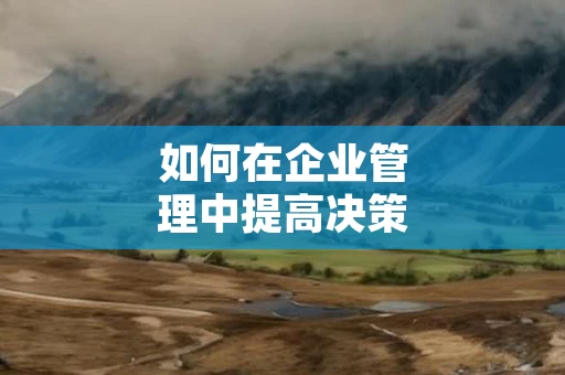 如何在企业管理中提高决策效率