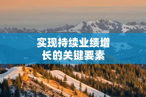 实现持续业绩增长的关键要素