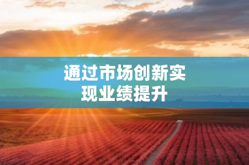 通过市场创新实现业绩提升