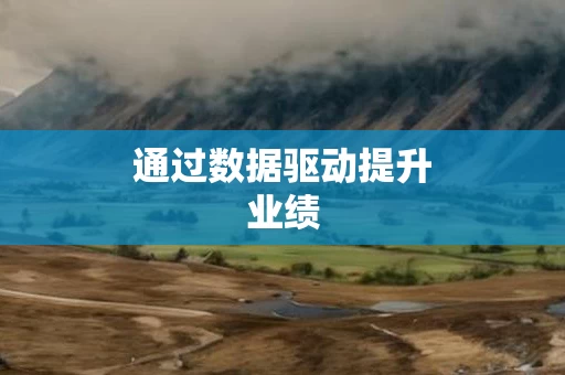 通过数据驱动提升业绩