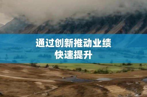通过创新推动业绩快速提升