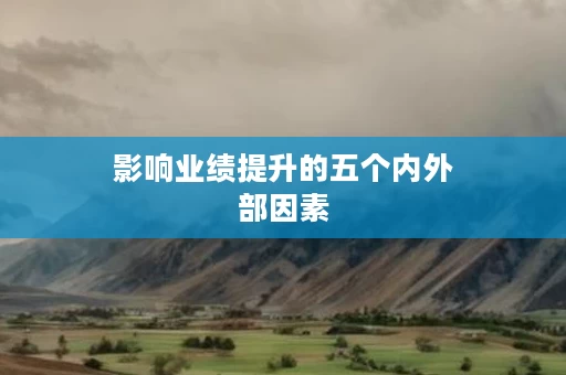 影响业绩提升的五个内外部因素