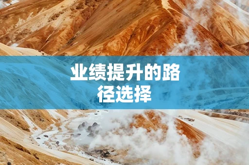 业绩提升的路径选择