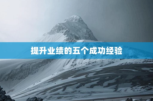 提升业绩的五个成功经验