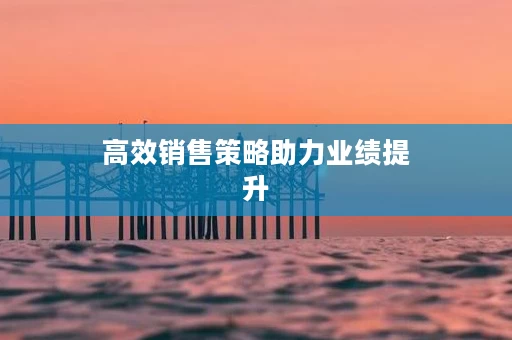 高效销售策略助力业绩提升