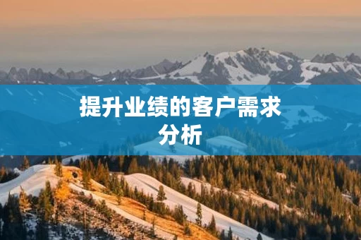 提升业绩的客户需求分析