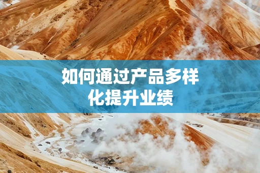 如何通过产品多样化提升业绩