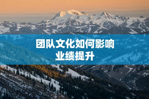 团队文化如何影响业绩提升