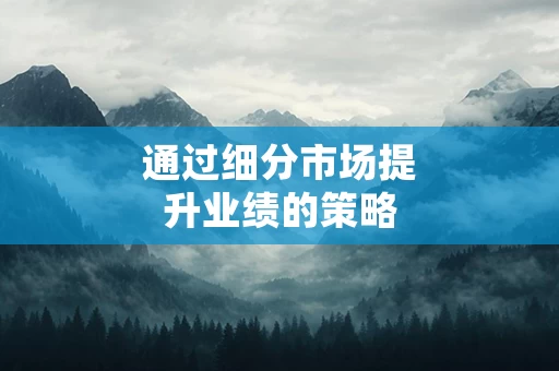 通过细分市场提升业绩的策略