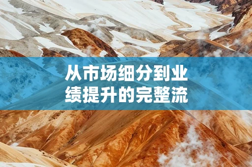 从市场细分到业绩提升的完整流程